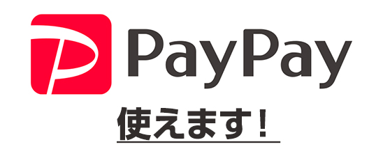 paypay使えます